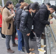 企业拓展训练断桥项目介绍,四川盟略拓展训练中心