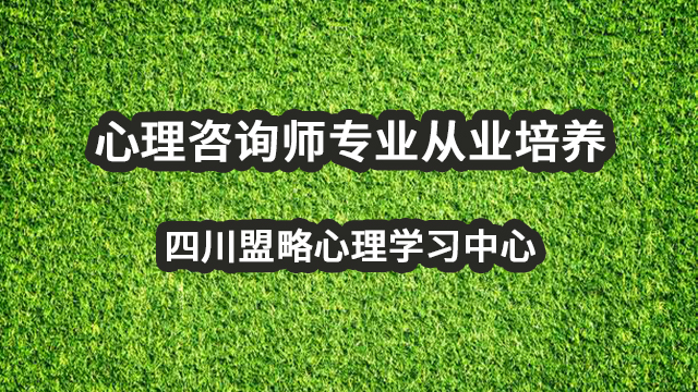 心理咨询师专业从业培养,四川盟略心理学习中心