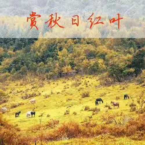 企业秋季户外拓展有哪些好去处