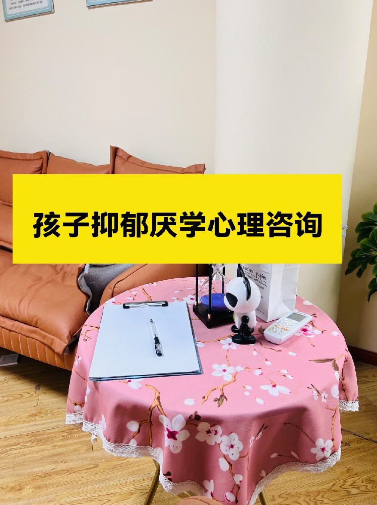 孩子抑郁厌学？四川盟略一对一咨询服务来帮忙