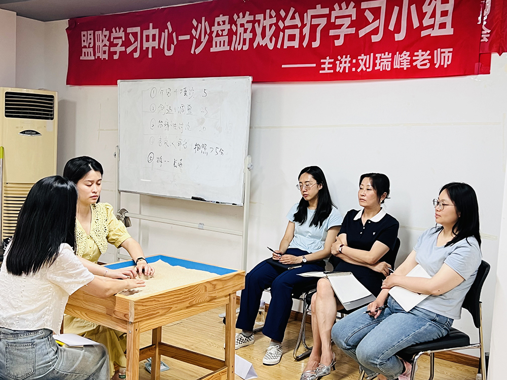 学沙盘游戏疗法，解锁疗愈新技能—四川盟略实操课程等你来